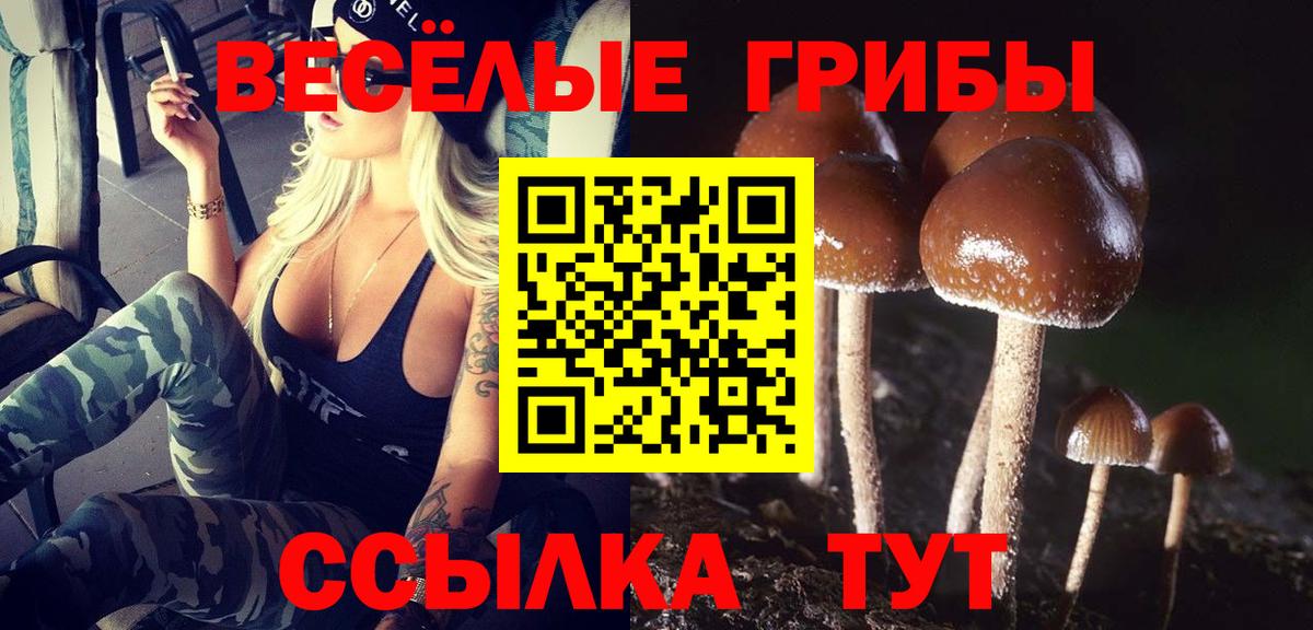 Железногорск  Галлюциногенные грибы мухоморы  Вход с VPN  Галлюциногенные грибы Psilocybe 